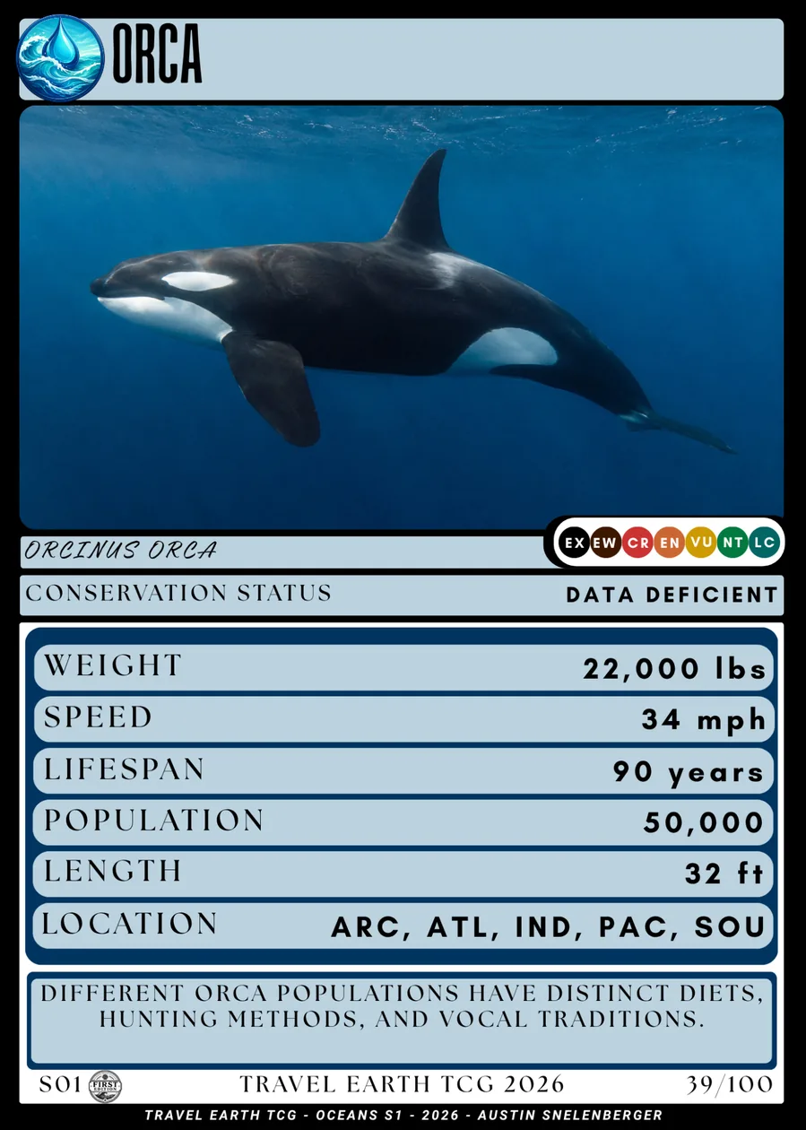 Orca card